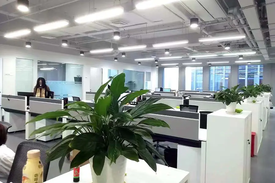 Kantor Kantor